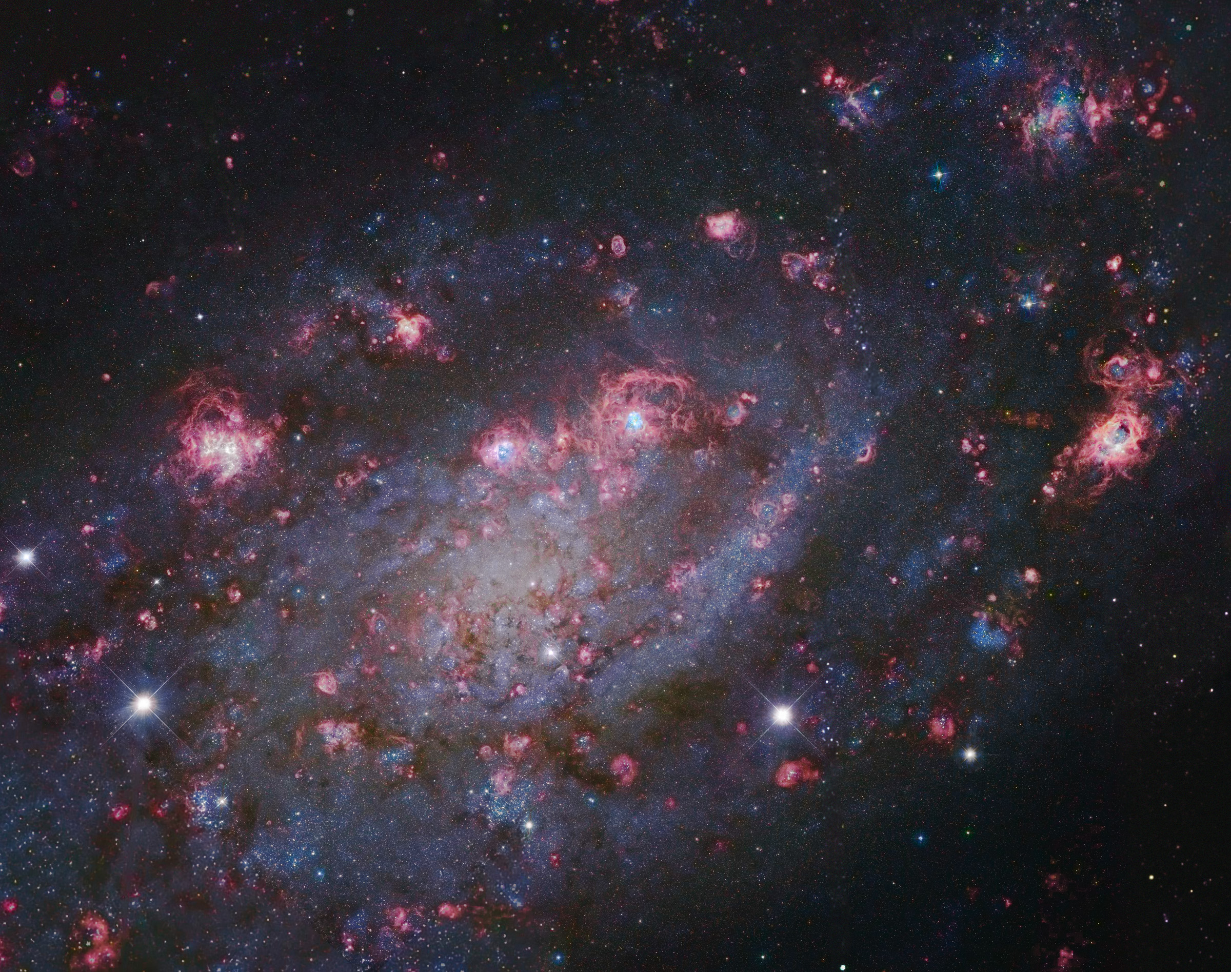 NGC 2403 Subaru/Gendler